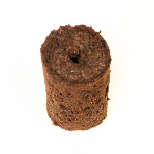 Jiffy Preforma Plugs — GroBro Hydroponics jiffy